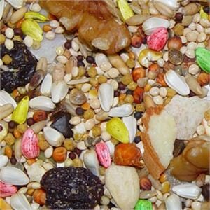 Bird food near me, bird food store, parrot food near me, parrot food store, bird food for sale online, parrot food for sale near me