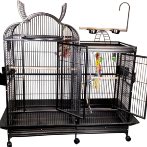 parrot cage for sale near me, parrot cage for sale uk, parrot cage for sale, parrot cage for sale birmingham, bird cage for sale canada, bird cage for sale,