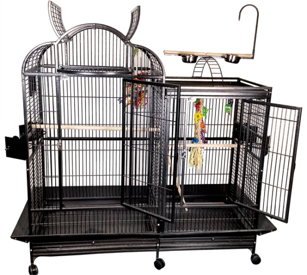 parrot cage for sale near me, parrot cage for sale uk, parrot cage for sale, parrot cage for sale birmingham, bird cage for sale canada, bird cage for sale,